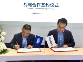 让球网